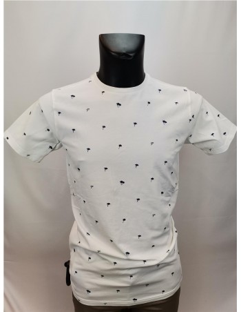 CMTA PALMERAS PETROL